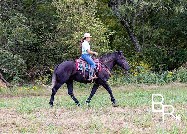 jumping-quarter-horse