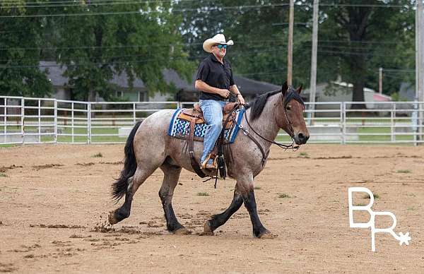 substantial-gelding