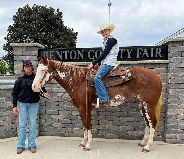 family-horse-quarter