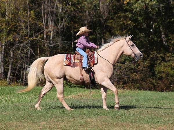 all-around-quarter-horse