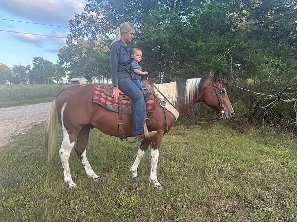 husband-safe-quarter-horse