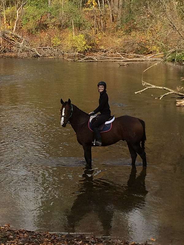 barrel-racing-paint-pony