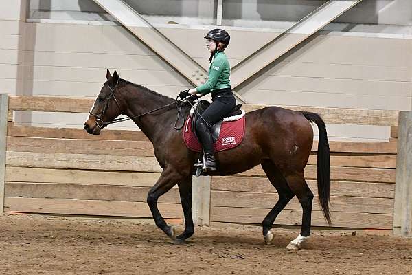 husband-safe-paint-pony