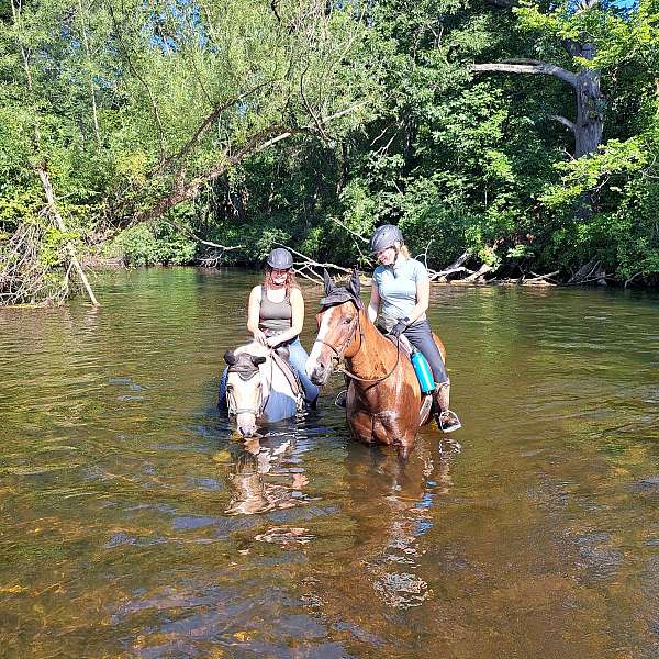 ridden-western-paint-pony