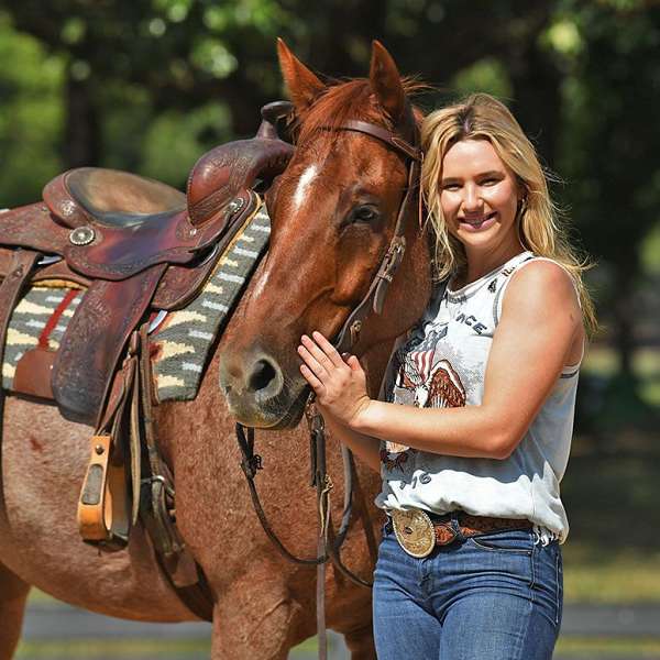 trail-horse-quarter