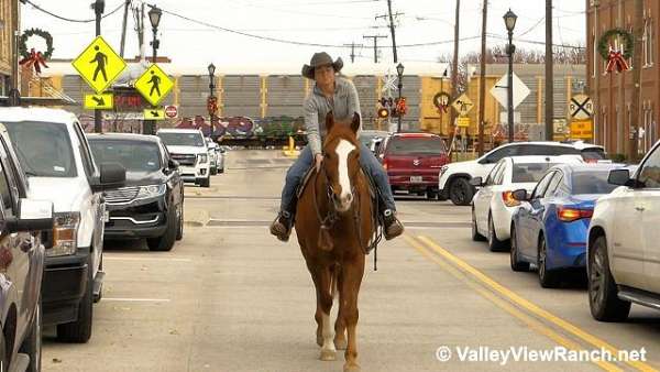 trail-riding-paint-horse