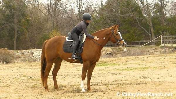 sorrel-overo-paint-gelding