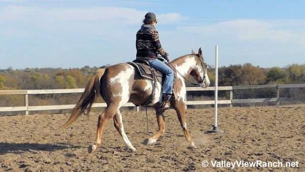 playday-paint-horse