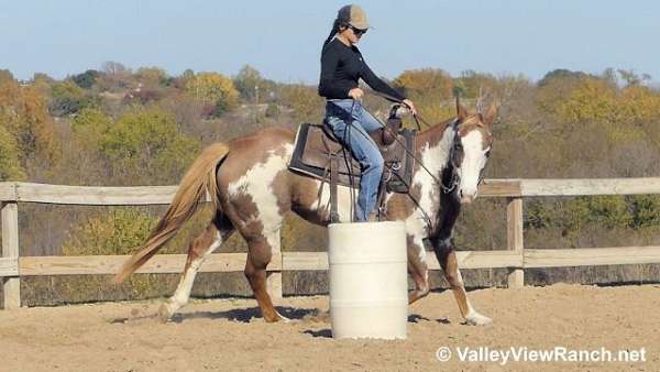 pole-paint-horse