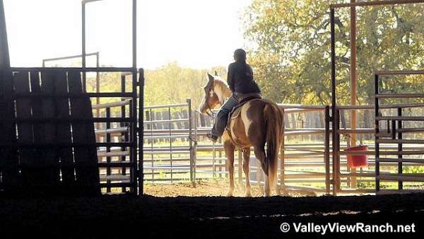 ranch-paint-horse