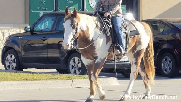 trail-paint-horse