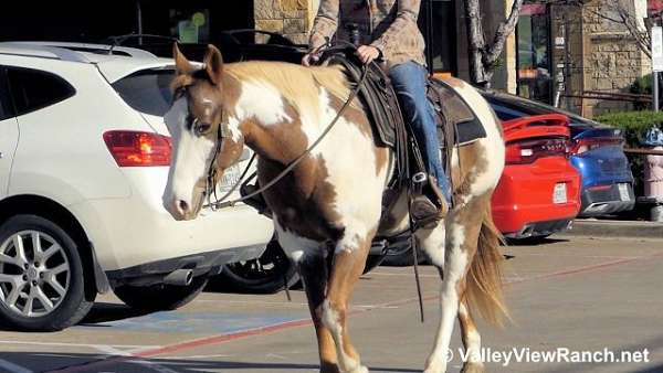 trail-riding-paint-horse