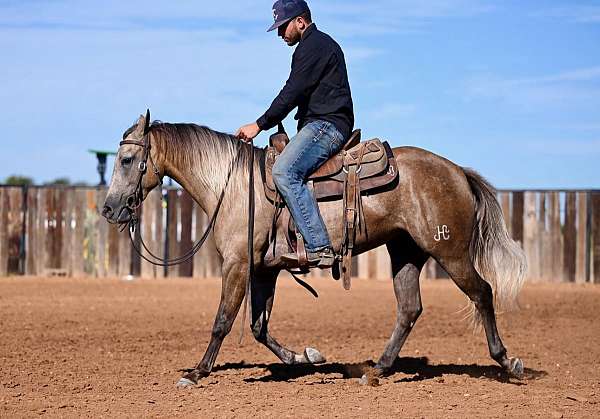 ranch-work-quarter-horse