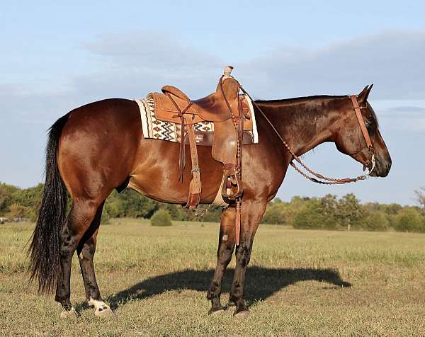 calf-roping-quarter-horse