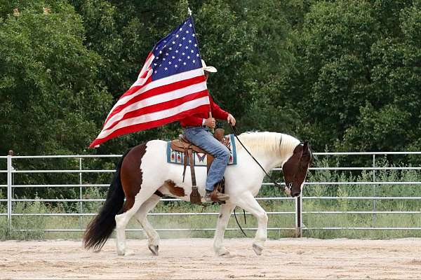 ranch-work-gypsy-vanner-horse