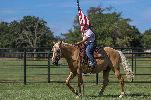 calf-roping-quarter-pony