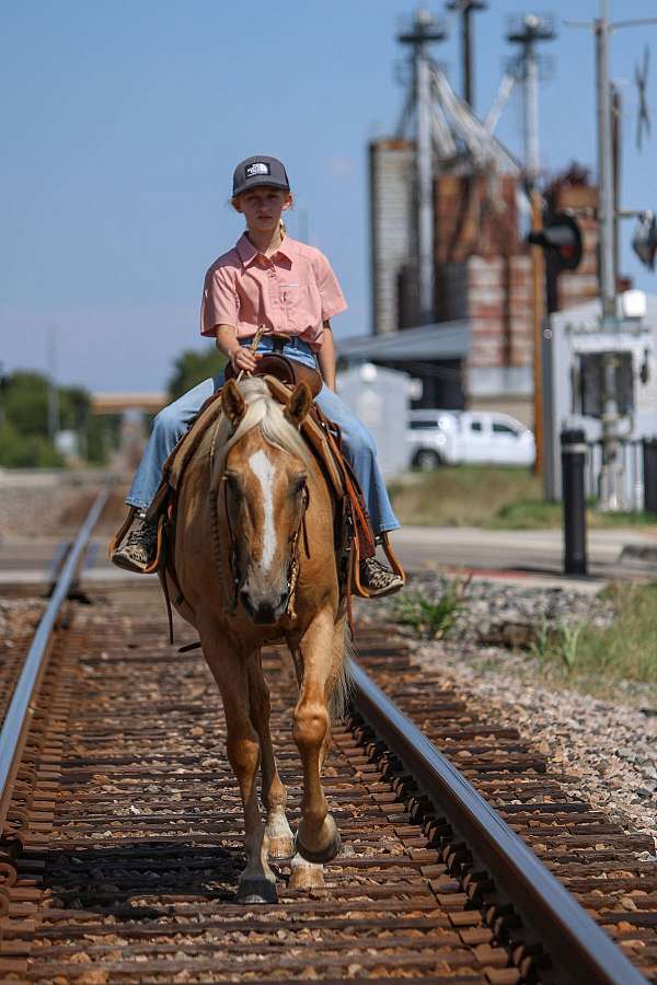 kid-safe-quarter-pony