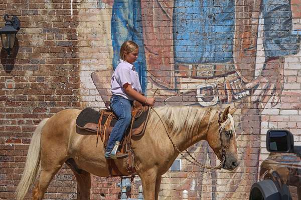 performance-quarter-pony