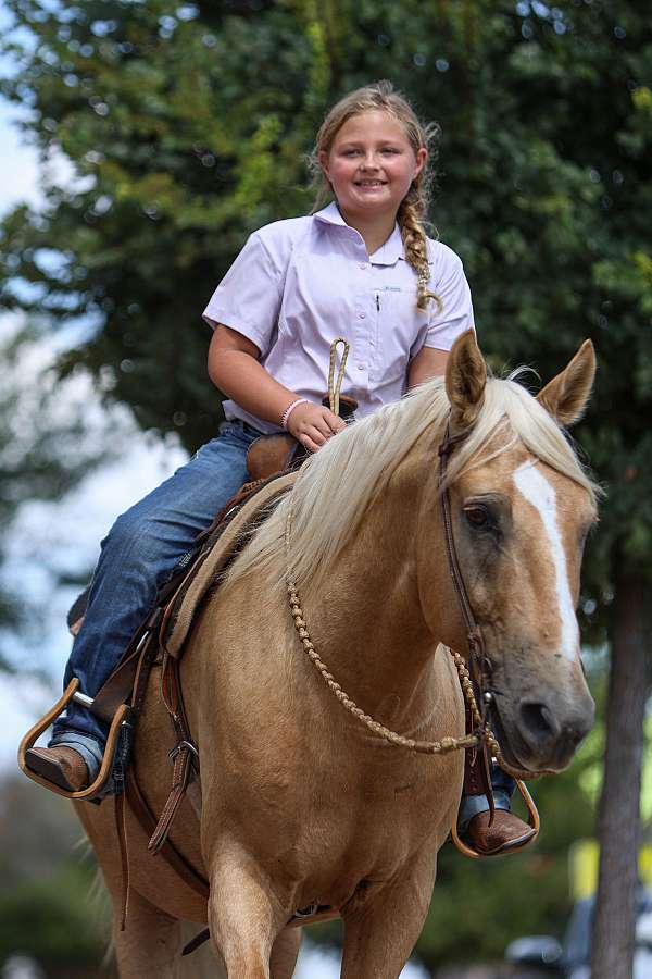 ranch-work-quarter-pony