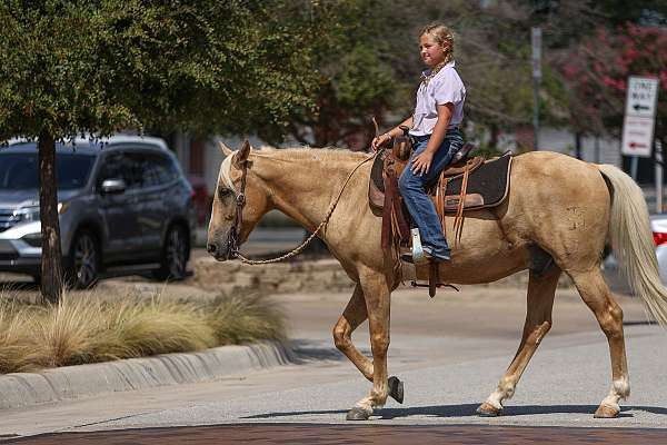 roping-quarter-pony