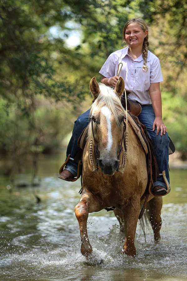 trail-riding-quarter-pony