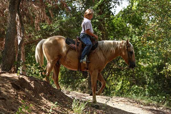 western-riding-quarter-pony