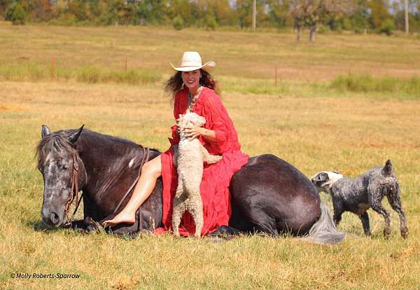 ranch-work-draft-horse