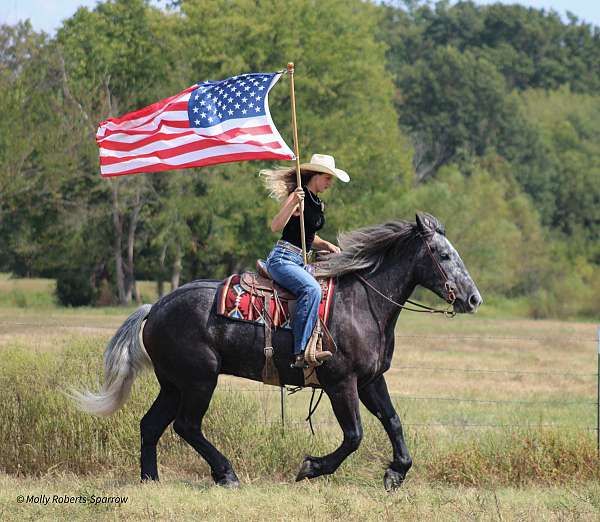 trail-riding-draft-horse