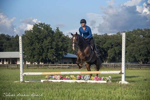 ridden-western-quarter-horse