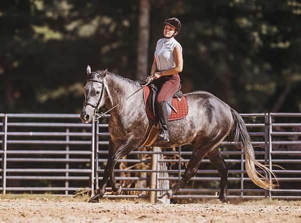 kid-safe-quarter-horse