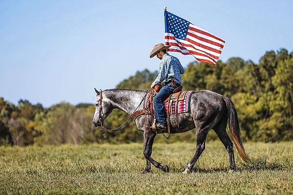 ranch-versatility-quarter-horse