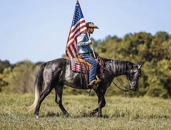 ranch-work-quarter-horse