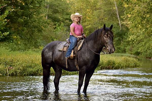 kid-safe-percheron-horse