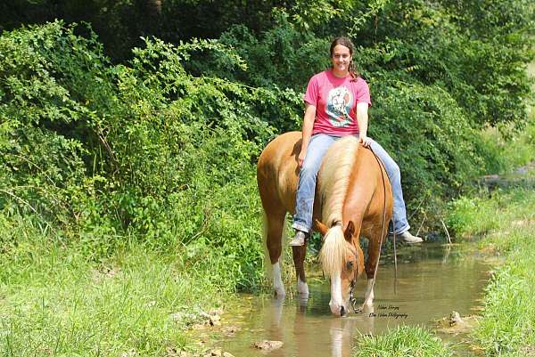 performance-draft-horse