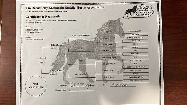 cross-ties-rocky-mountain-horse