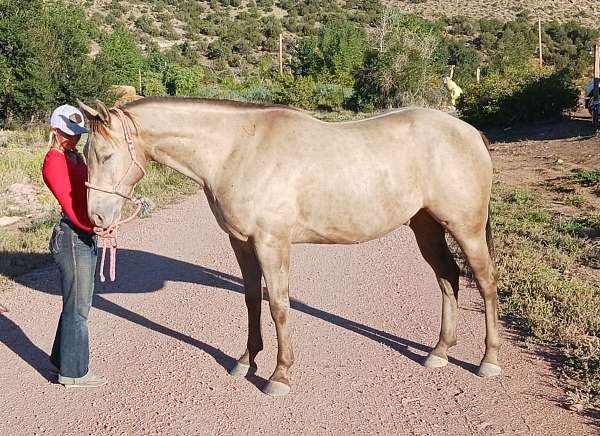 roping-quarter-horse