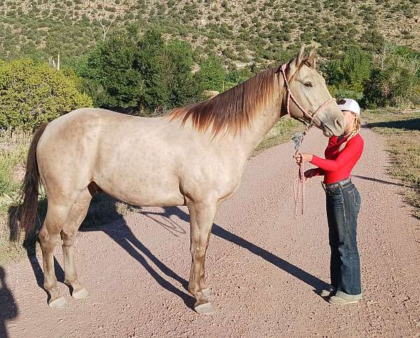 trail-riding-quarter-horse