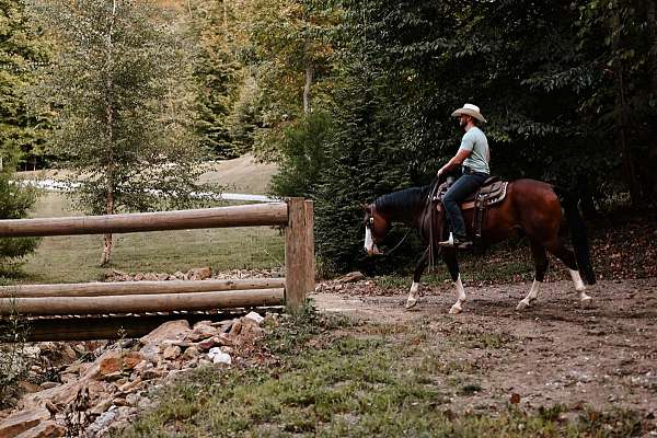 barrel-racing-quarter-horse