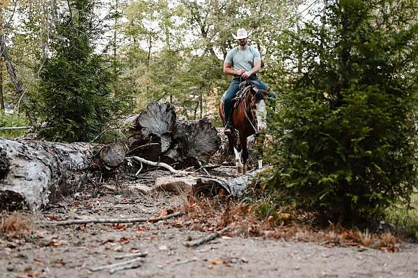 cowboy-mounted-shooting-quarter-horse