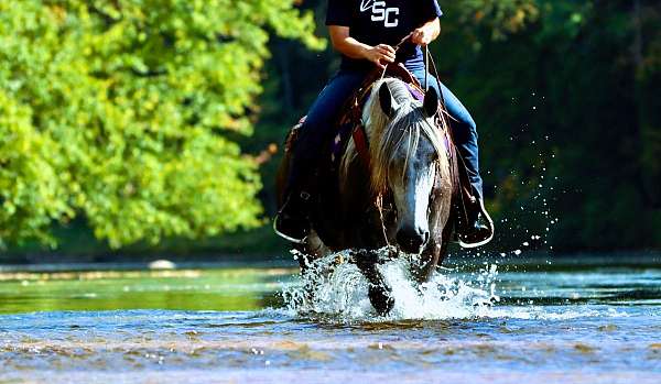 flashy-percheron-pony