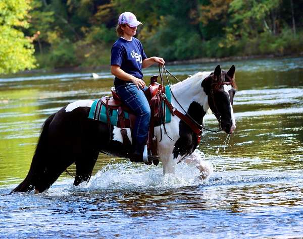 gentle-friesian-horse