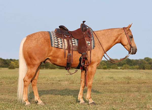 calf-roping-quarter-horse