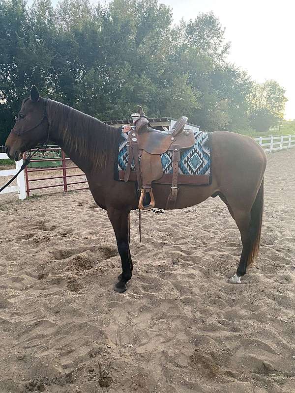 barrel-racing-ridden-western