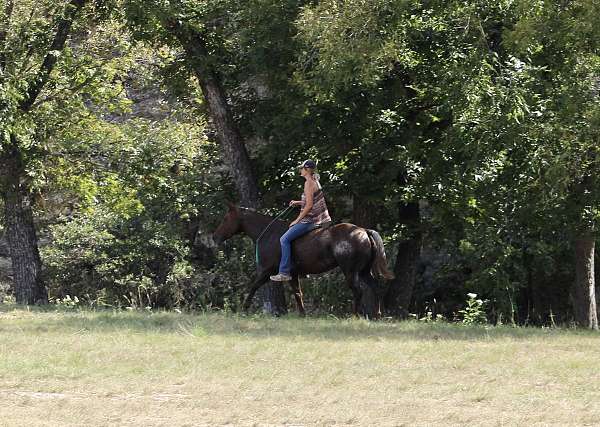 barrel-race-quarter-horse