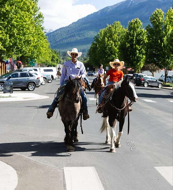 ranch-work-quarter-horse