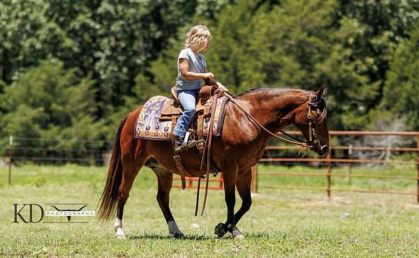 quarter-pony