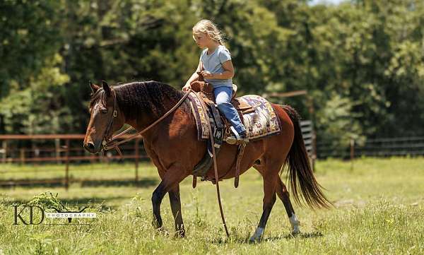 family-pony-quarter