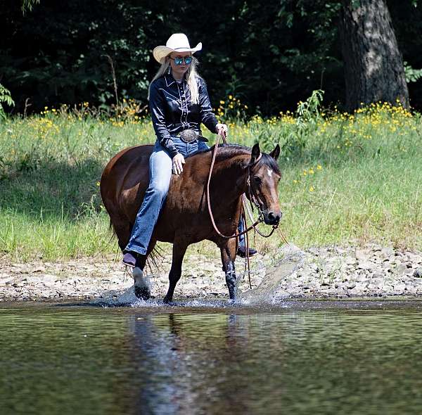 husband-safe-quarter-pony