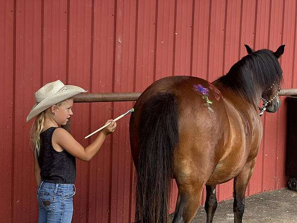 kid-safe-quarter-pony