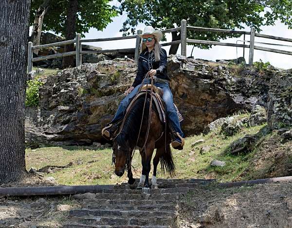 ranch-quarter-pony